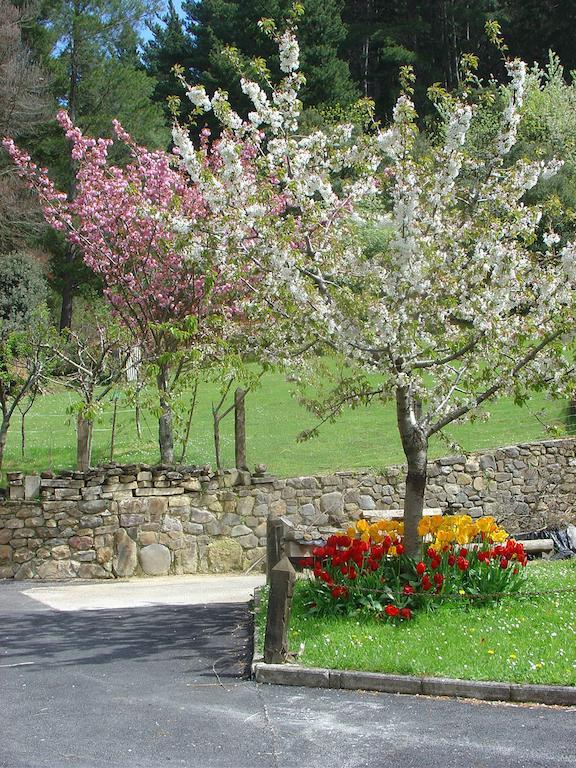 Hotel Haras Aritza Ojedo Pokój zdjęcie